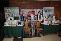 ЯРМАРКА ЗДОРОВЬЯ В ДЕНЬ ГОРОДА