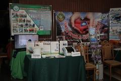 ЯРМАРКА ЗДОРОВЬЯ В ДЕНЬ ГОРОДА