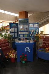 ЯРМАРКА ЗДОРОВЬЯ В ДЕНЬ ГОРОДА