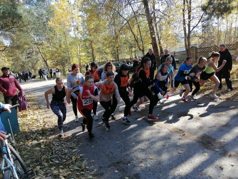 Городской легкоатлетический кросс Городской легкоатлетический кросс