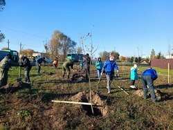 Акция «Вместе для зеленой Беларуси!» Акция «Вместе для зеленой Беларуси!»