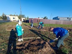 Акция «Вместе для зеленой Беларуси!» Акция «Вместе для зеленой Беларуси!»