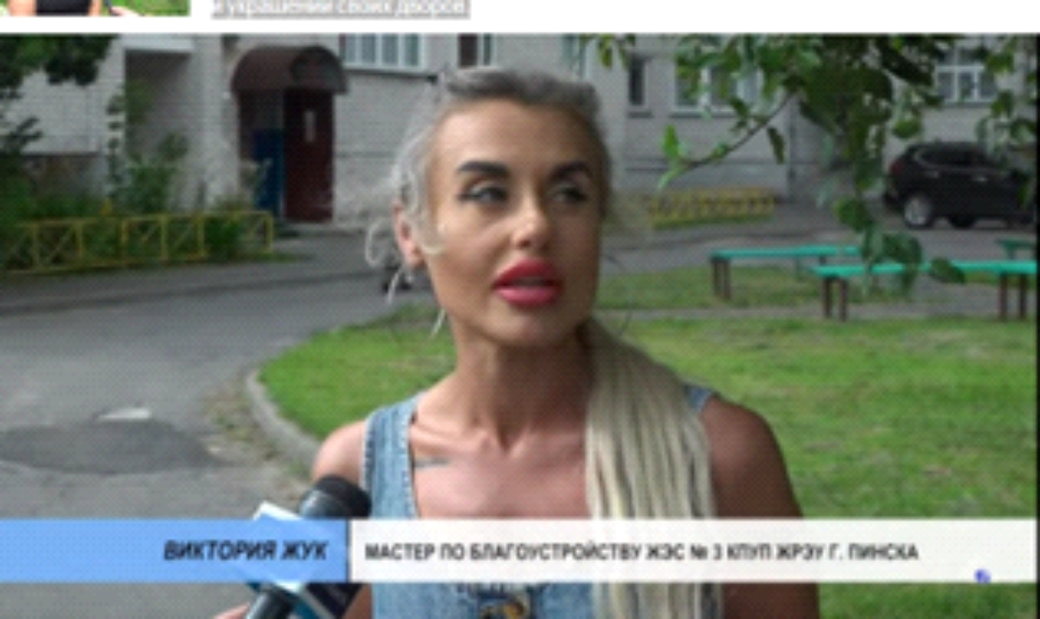 Красивый двор – общая забота. Как пинчане украшают город Красивый двор – общая забота. Как пинчане украшают город