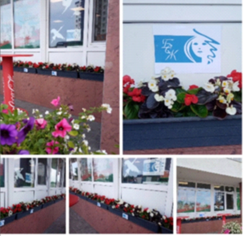 Региональный проект Региональный проект