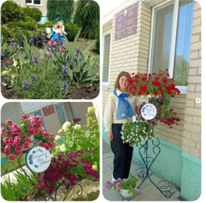 Фотоконкурс регионального проекта «Процветающих город» Фотоконкурс регионального проекта «Процветающих город»