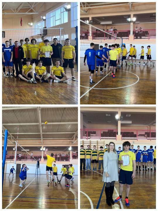 Волейбол Волейбол